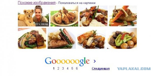 Когда фото похоже на кадр из мультика Диснея