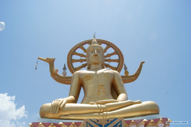 Шелковые дети под охраной гаруд