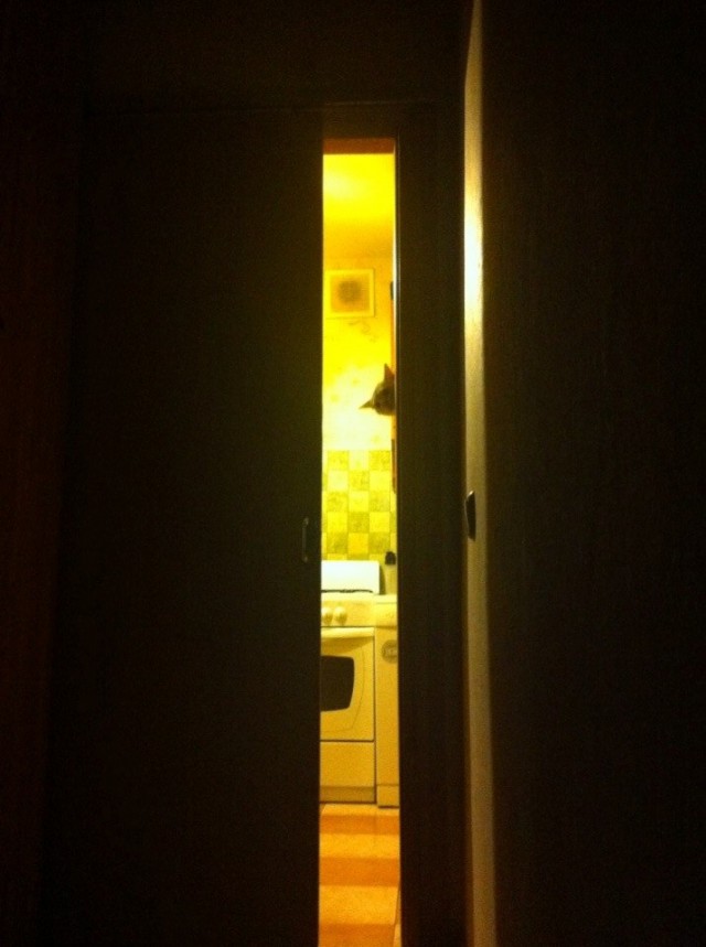 Котовторник  28.01.14