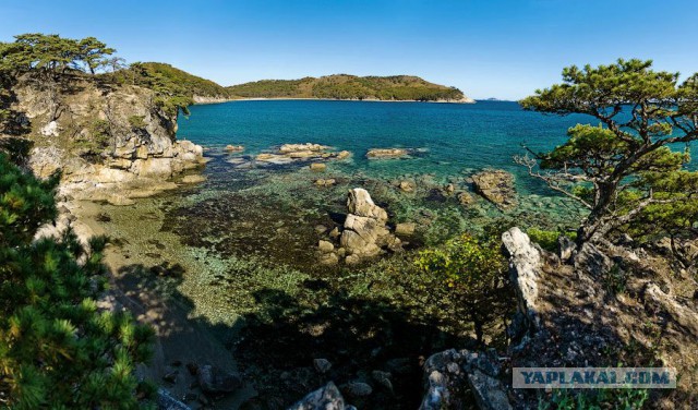 Природа Приморского края