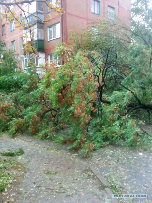 Шторм в Запорожье