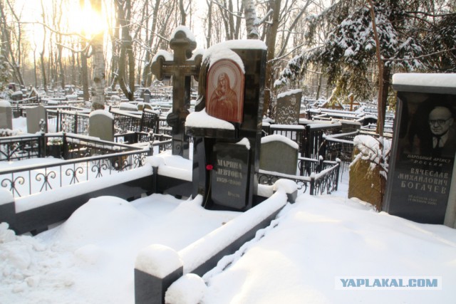 Ваганьково. 25 января 2015 года.