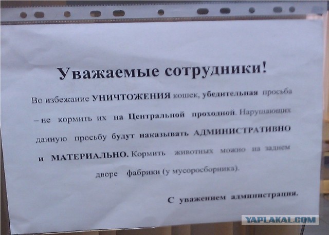 27 картинок