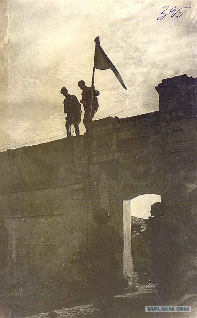 Самые трогательные фотографии войны