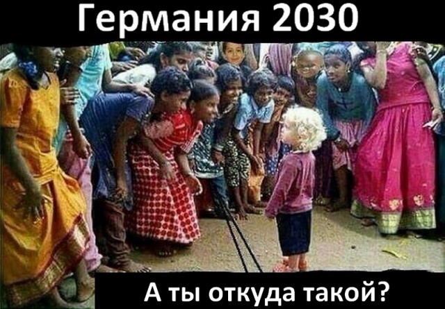 Мигранты в Европе барагозят