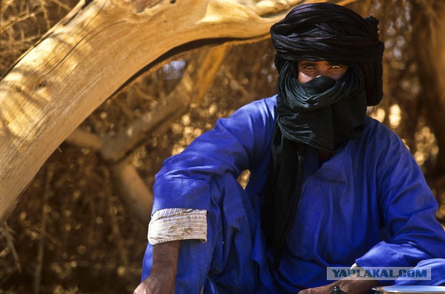 Туареги: жизнь при матриархате