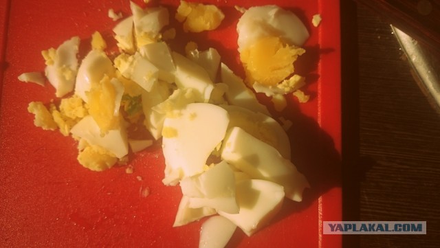 Фастфуд-пикник на день рождения ЯПа