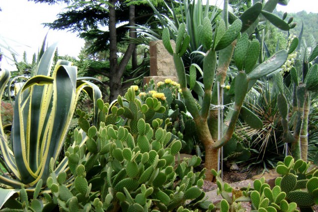 Крым как он есть