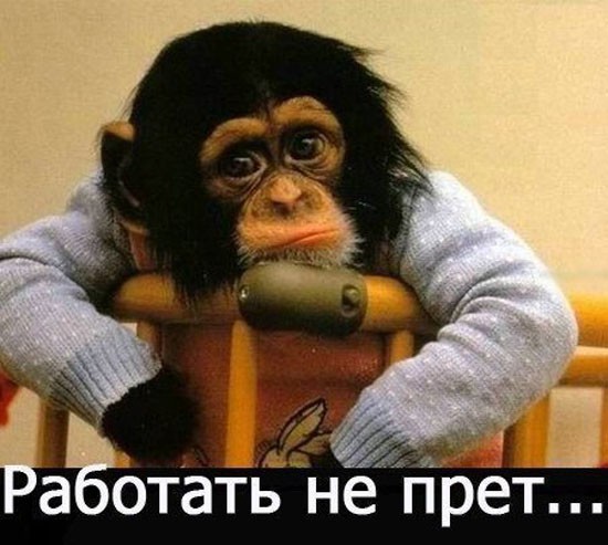 Анекдоты. Фразы.