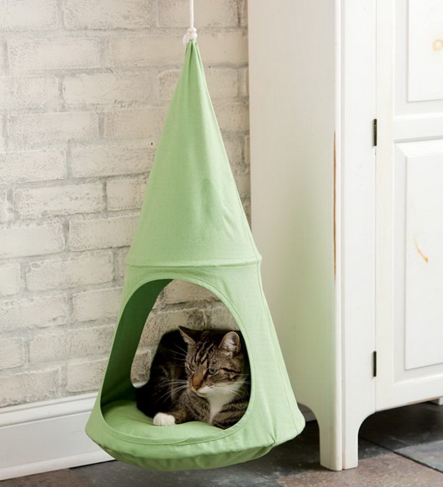 Коты из сети