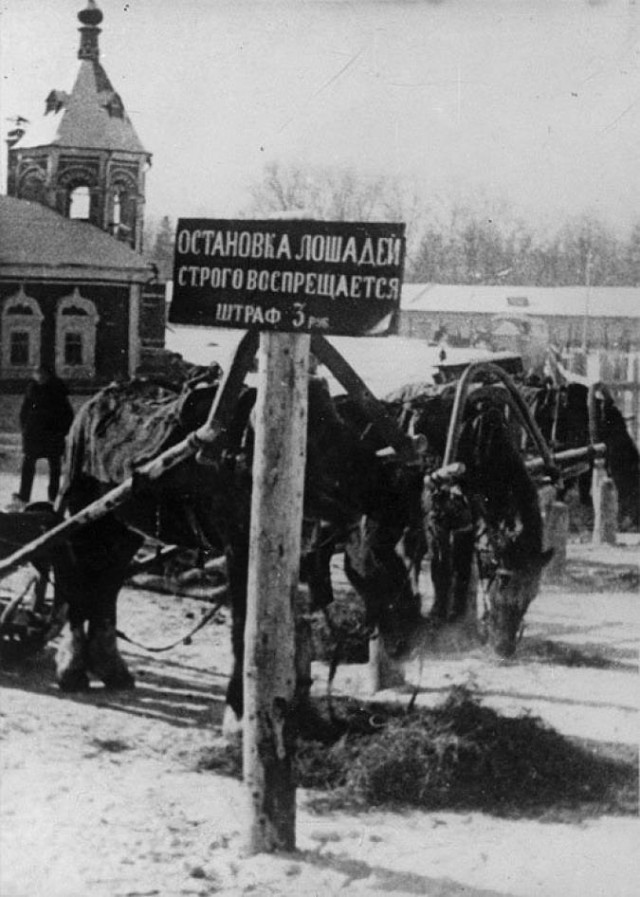 Подборка интересных и веселых картинок
