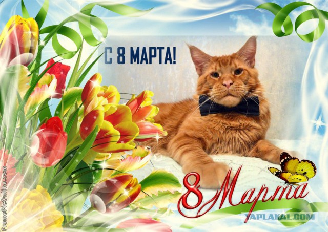 Джокер и его семья