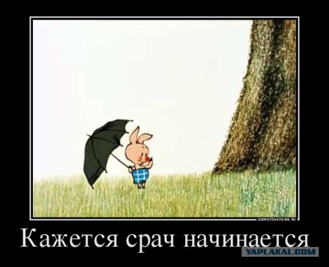 Пробный брак