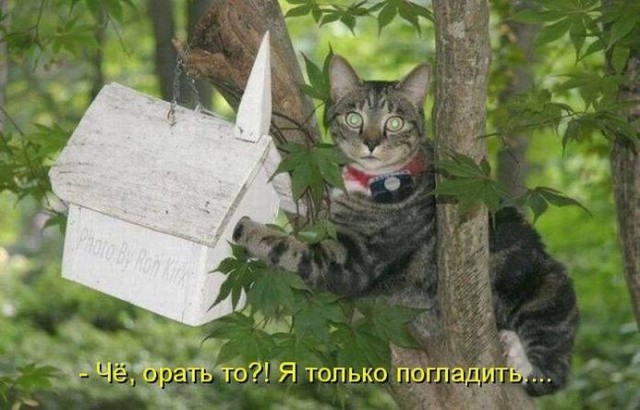 Просто юмор 22