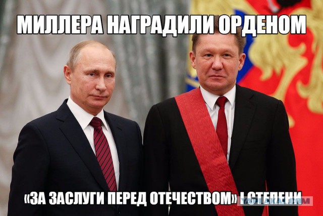 Зарядье. Абсурд.
