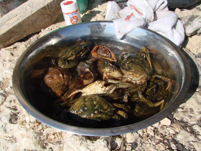 Крабы