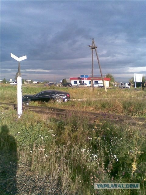 Последняя поездка для Бентли (5 фото)