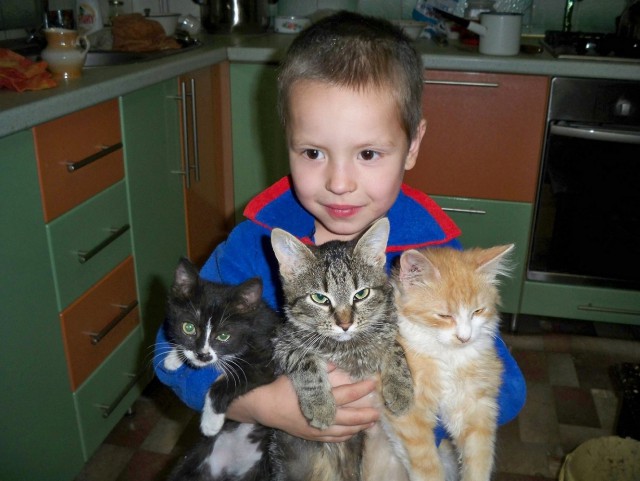 Котовторник 20.02.18