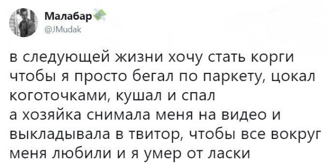 Смешные комментарии из социальных сетей 23.03.2018