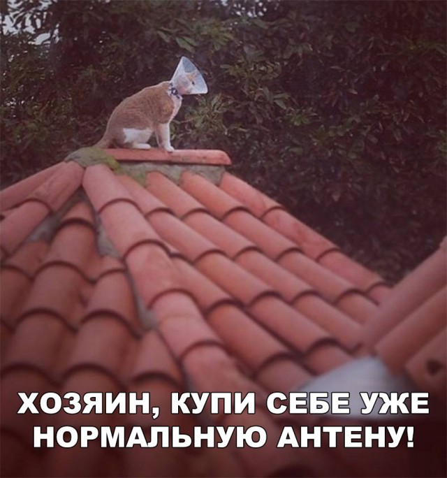 Нестандартный юмор