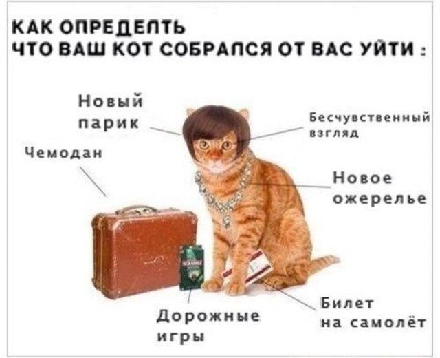 Немного картинок в это воскресенье