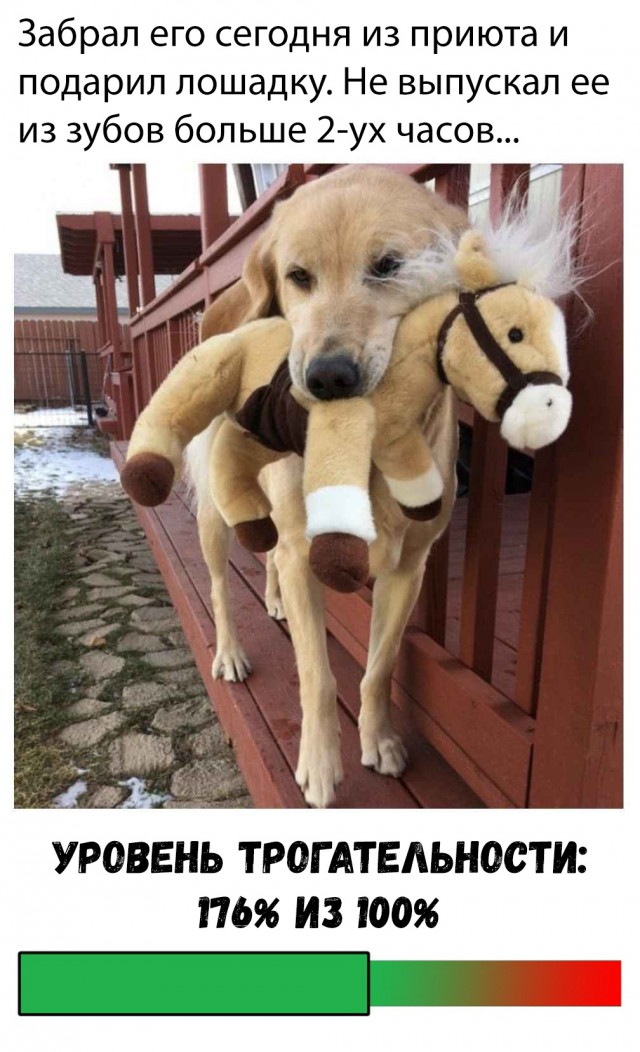 Прикольные картинки абавсём
