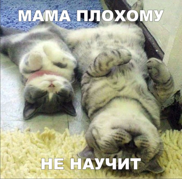 Нестандартный юмор
