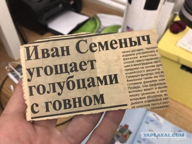 Блюдо дня! Кондитер из питера и его блюда-обманки