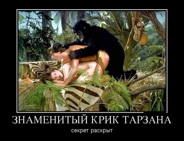 Весёлые и/или жизненные картинки