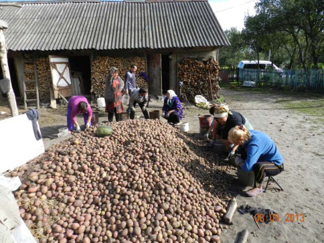 Каникулы в деревне