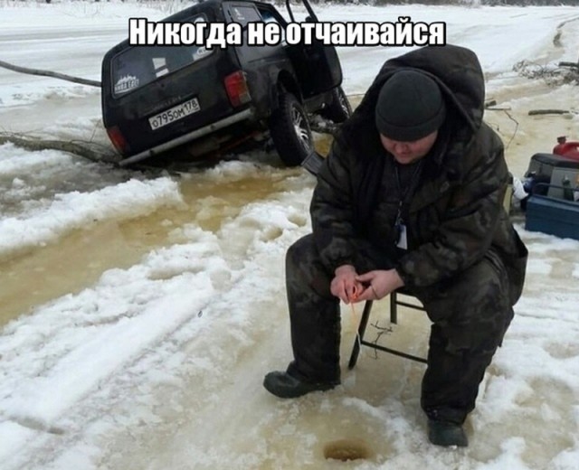 И всё-таки она наша. Лента картинок