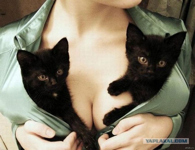 Всякое с ЗМ