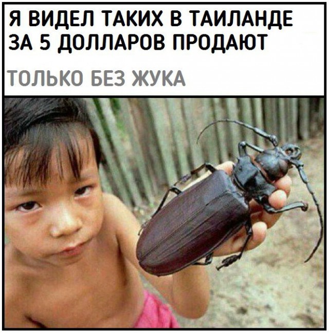 Аморалка