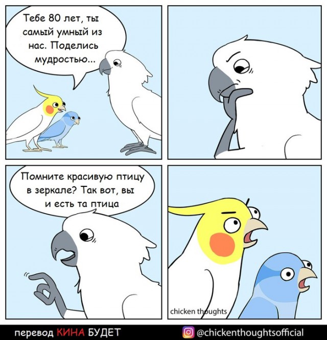 Нестандартный юмор