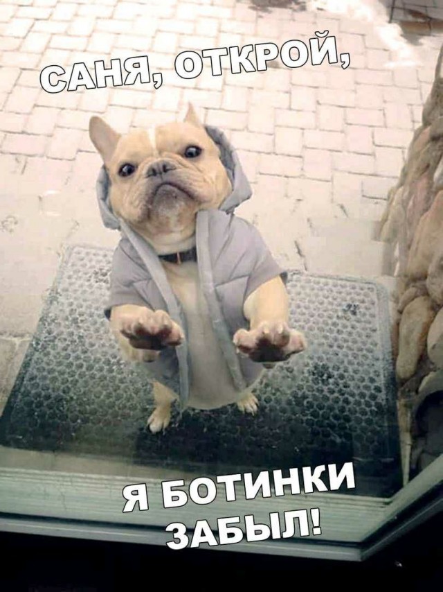 Картинки ниАчем