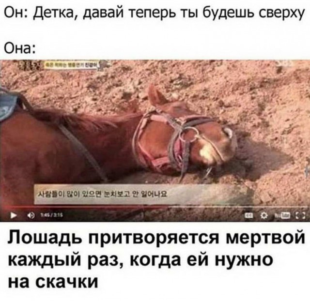 Пара-пара-пам! Фьють. Картинки с надписями. И без