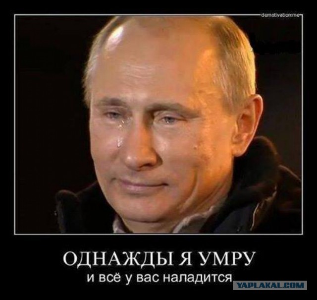 Вся информация о положенных вам мерах поддержки, которую вы хотели знать