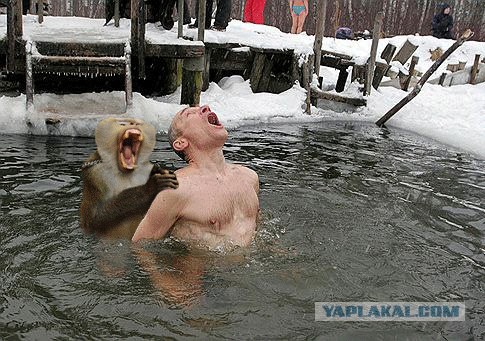 Фотожаба: Отличная водичка!