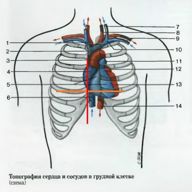 2020 год. Чудовищные изменения реального мира