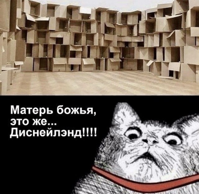 Прикольные картинки 02.12.20