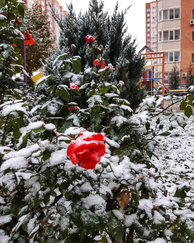 Зимний Краснодар