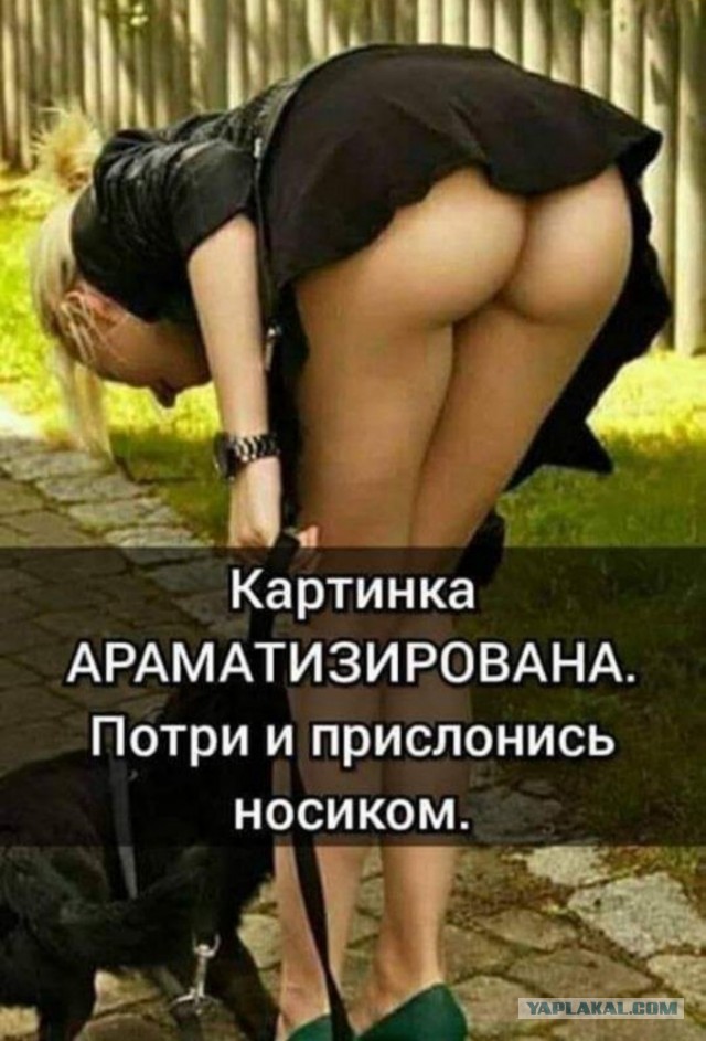 Кретинизмы из KV и KO 27.01.21