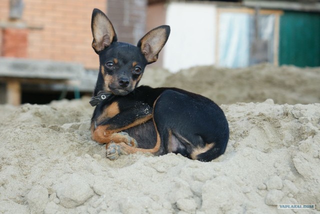 Можно я с краешку прилягу?