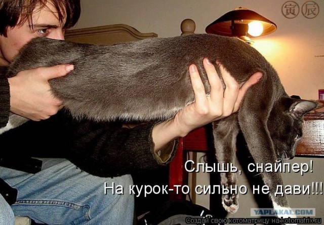 Пристрели их!