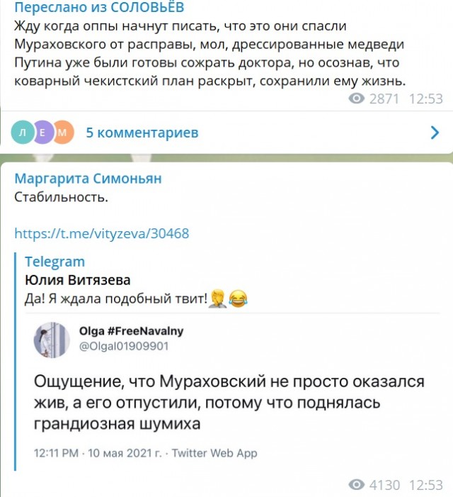Нашелся Потеряшкин - Александр Мураховский вышел из леса к людям