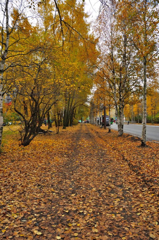 Архангельск – покоряющий север