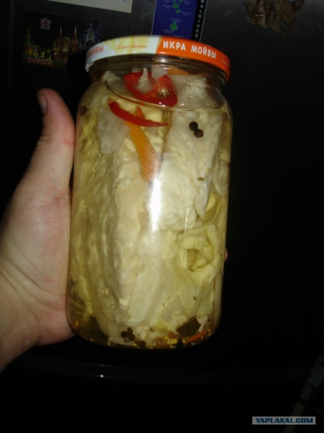 Капуста International, Наступила осень, отцвела капуста...