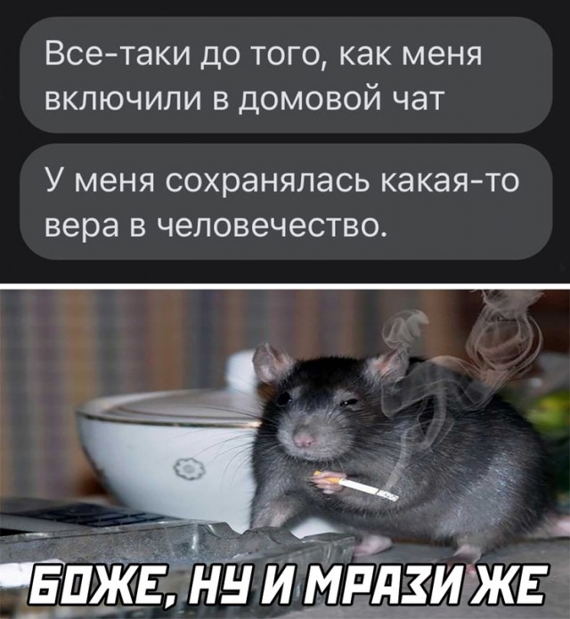 Картинки и мемы для настроения 12.08.2021