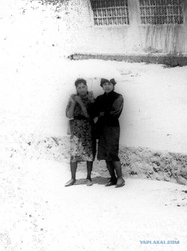 Кабул, 1986 год
