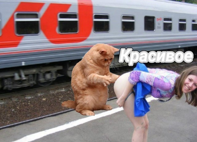 Лишь только мужчины шагают по шпалам... Девчонки на рельсах сидят